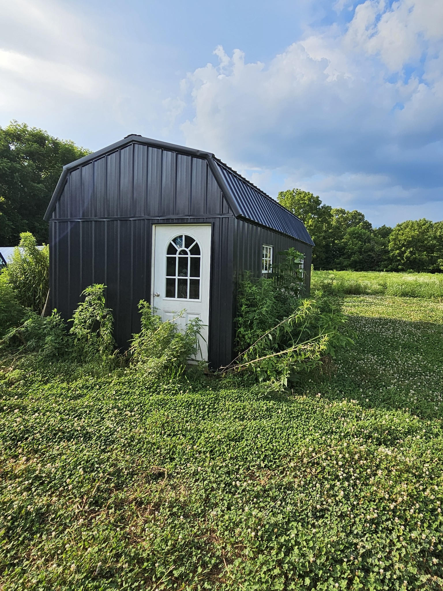 69 Bandy Road Lafayette, TN 37083 - Photo 3 of 11 Gallery Image 3