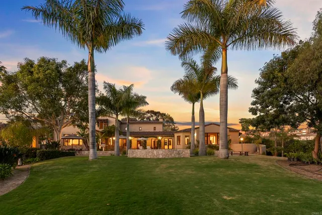 a view of a park with palm trees