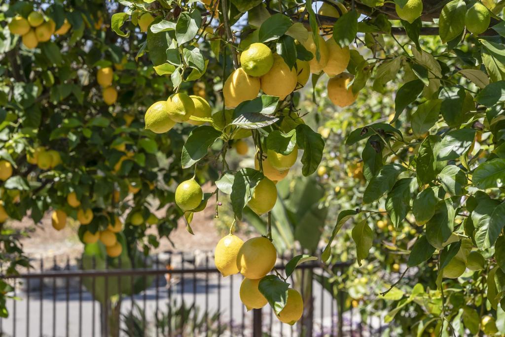 16733 Calle Hermosa San Diego, CA 92127 - Photo 41 of 43 a view of entryway
