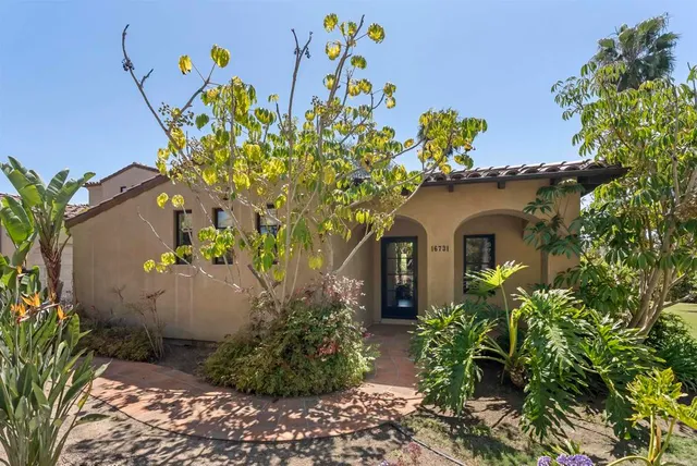 a view of a flower in a garden