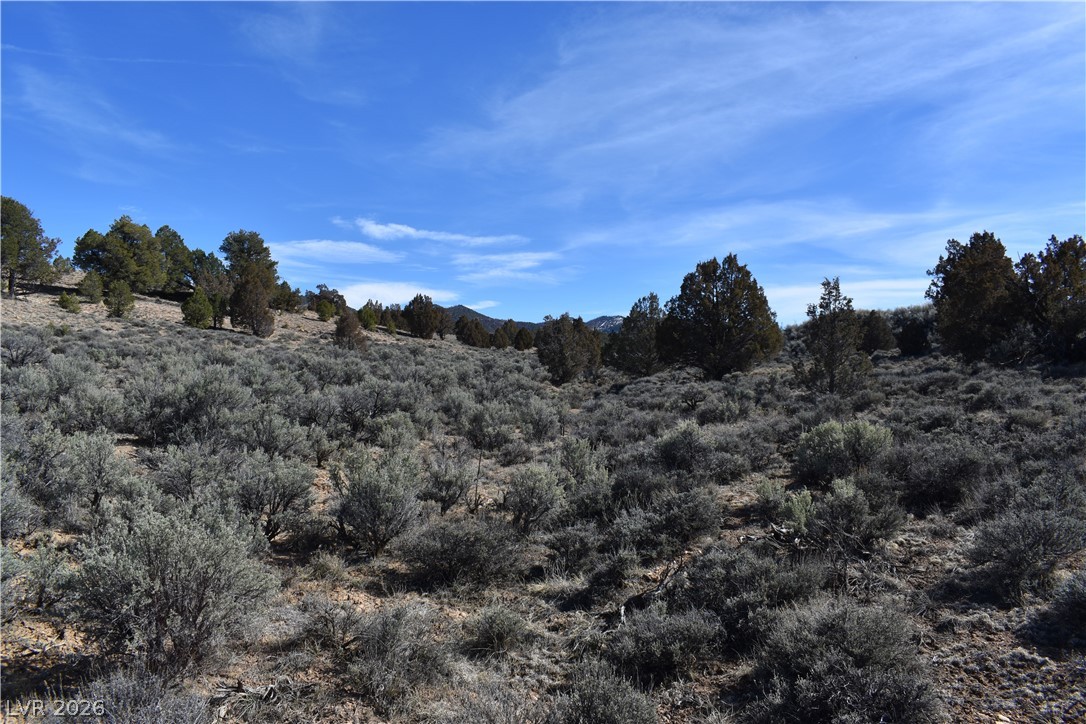 1825 Eagle Ridge Circle Hatch, UT 84735 - Photo 13 of 33 View of local wilderness