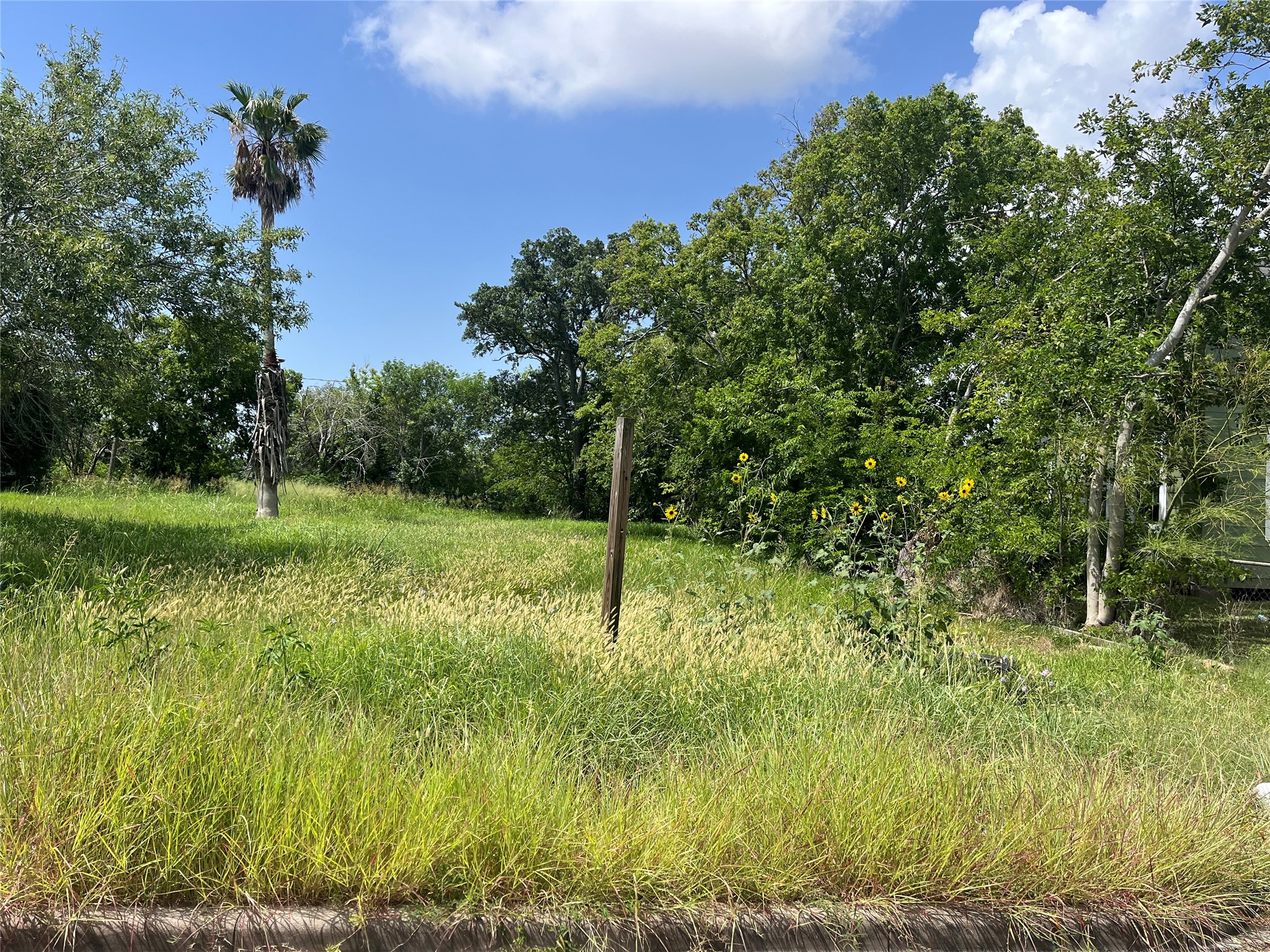615 West 5th Street Freeport, TX 77541 - Photo 5 of 7 a view of a green field with lots of bushes