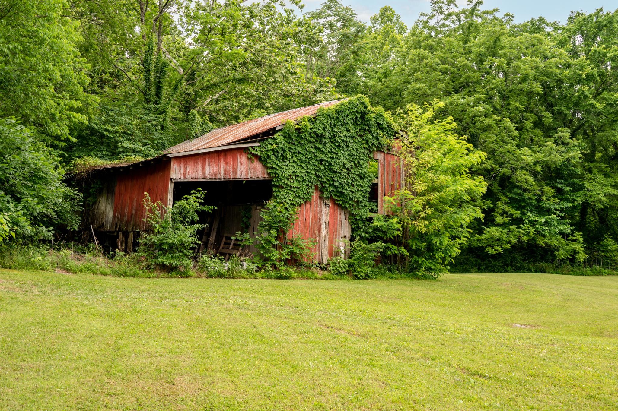5252 Cainsville Road Lebanon, TN 37090 - Photo 34 of 45 a view of a back yard of the house