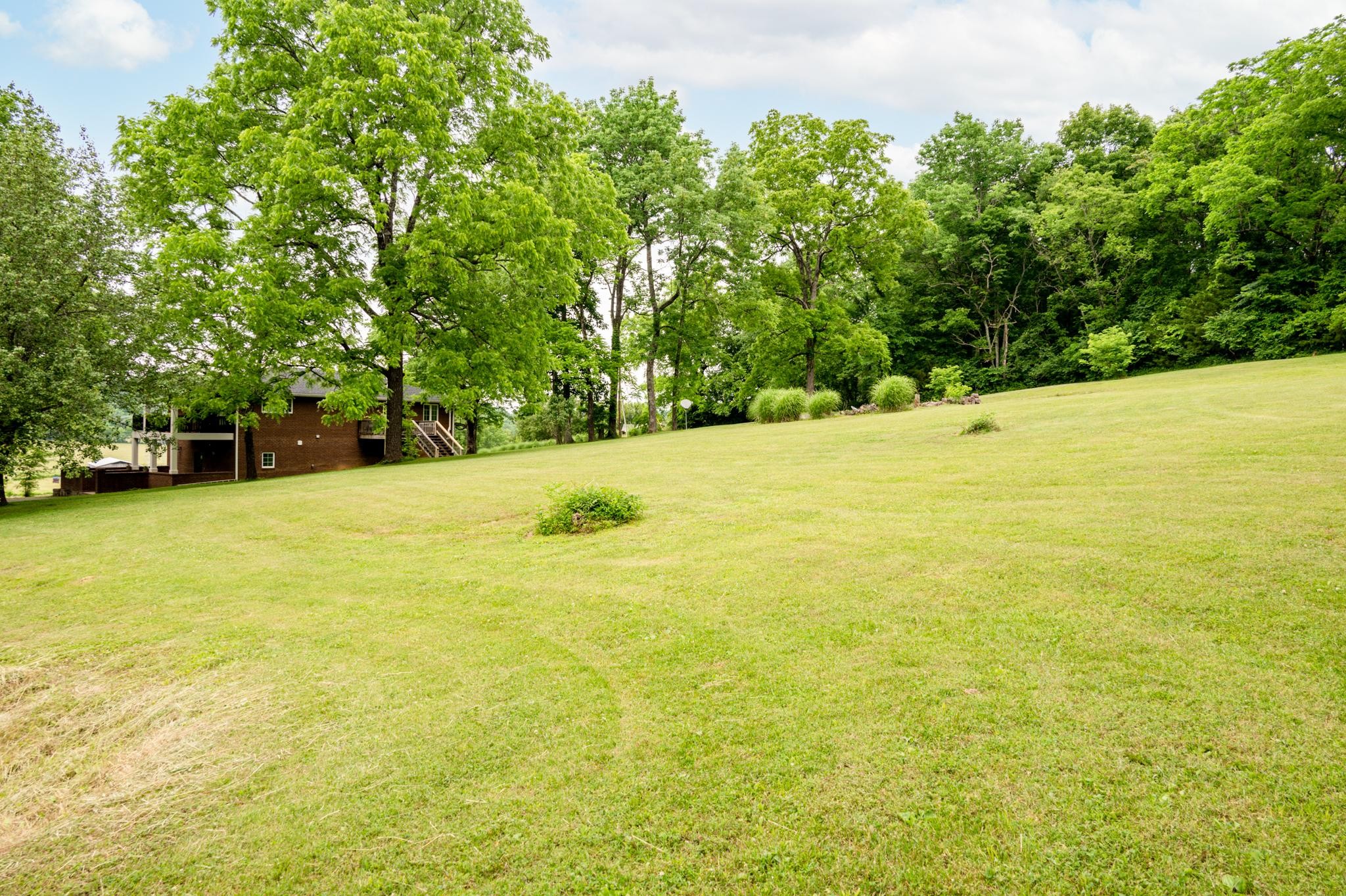 5252 Cainsville Road Lebanon, TN 37090 - Photo 37 of 45 a view of yard with large trees
