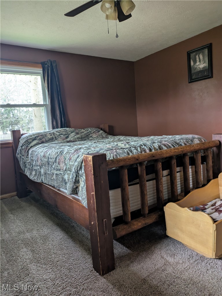 9581 Colton Road Windham, OH 44288 - Photo 17 of 26 Bedroom featuring carpet floors, a textured ceiling, and a ceiling fan