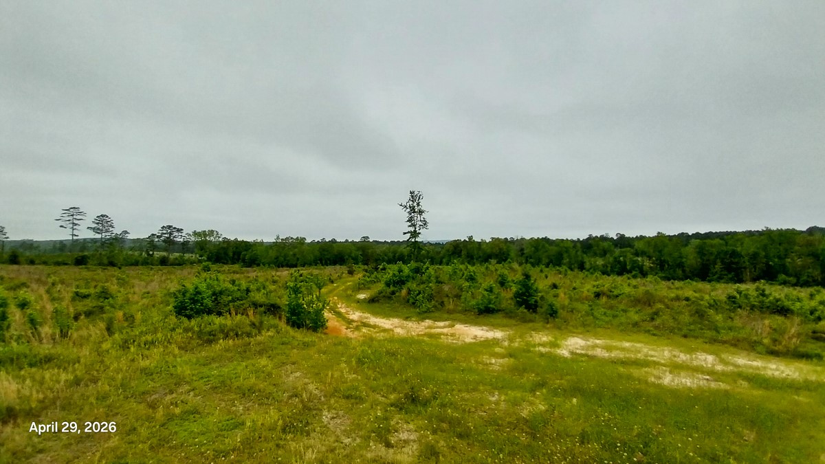 0 Fm 1857 Rusk, TX 75785 - Photo 20 of 24