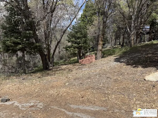 $30,000 | 6032 Tripp Lane, Angelus Oaks, CA 92305