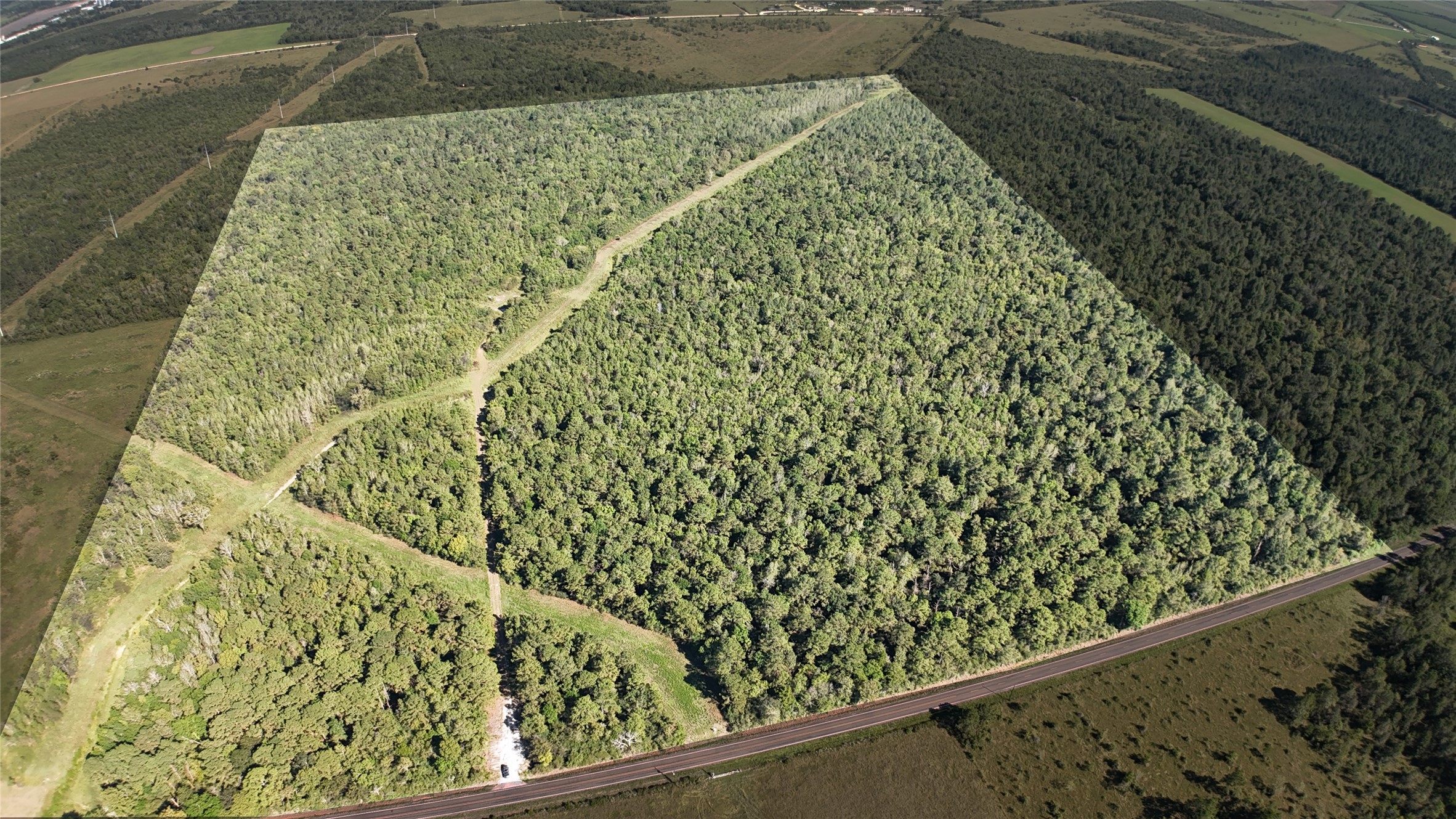 a view of a garden from a window