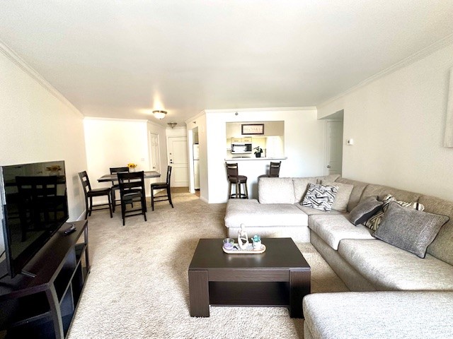 3525 Sage Road, Unit 407 Houston, TX 77056 - Photo 9 of 45