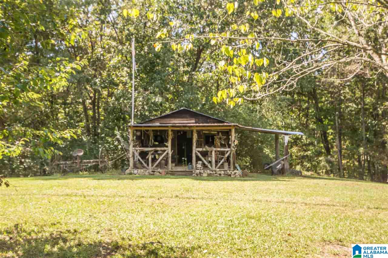 11615 County Road 73 Montevallo, AL 35115 - Photo 45 of 47