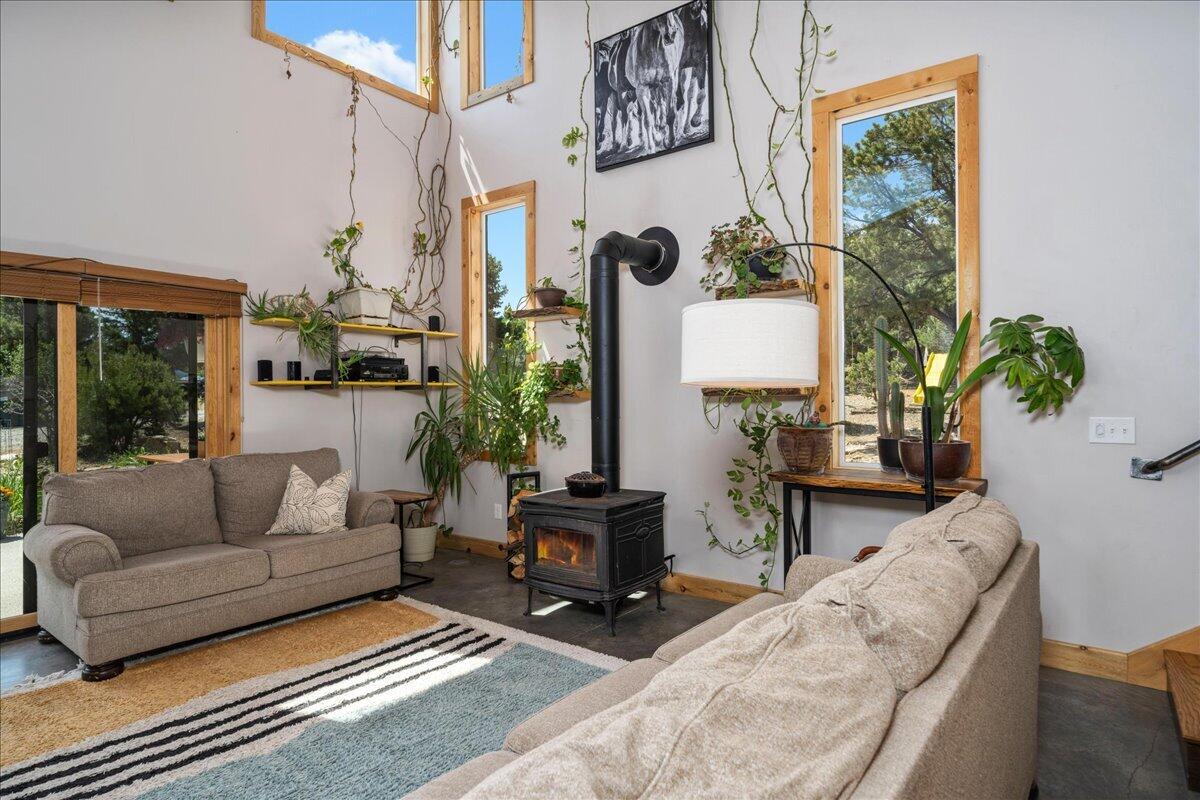 79 Cedar Lane East Ridgway, CO 81432 - Photo 26 of 55 34-DSC09252