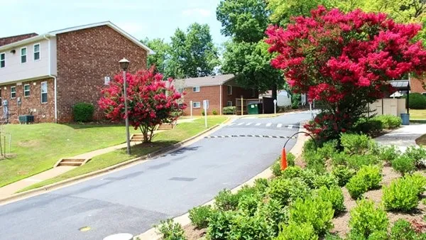 a front view of a house with a yard and fountain