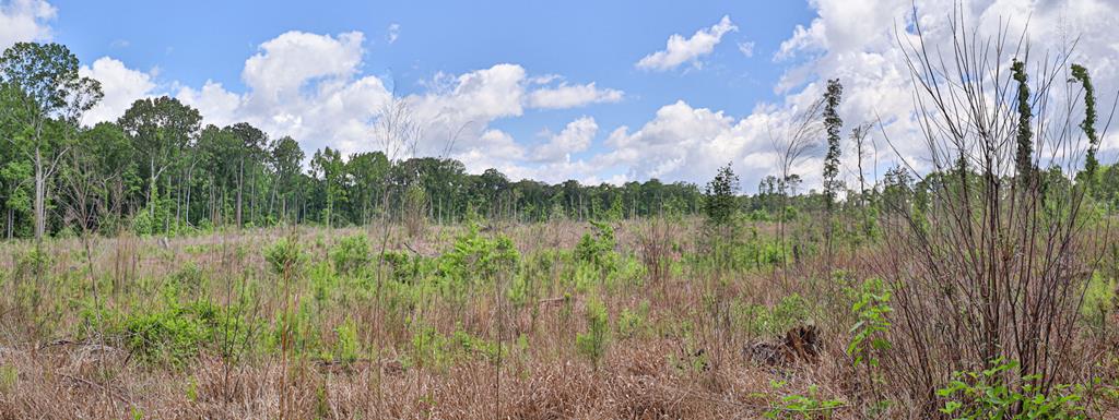 2115 Alabama Road Waverly Hall, GA 31831 - Photo 40 of 57 Gallery Image 40