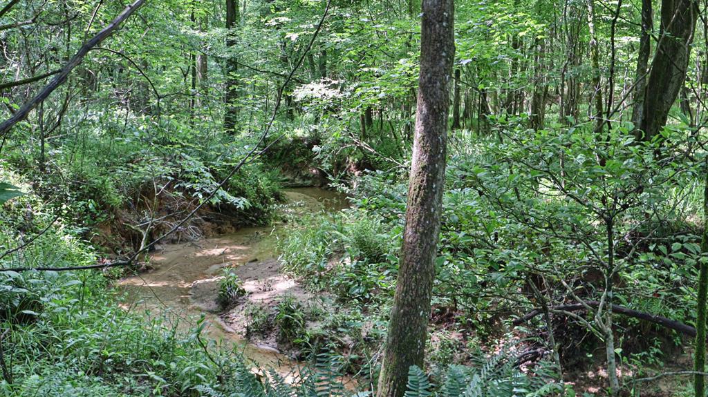 2115 Alabama Road Waverly Hall, GA 31831 - Photo 42 of 57 Gallery Image 42