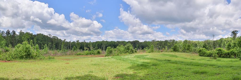 2115 Alabama Road Waverly Hall, GA 31831 - Photo 49 of 57 Gallery Image 49