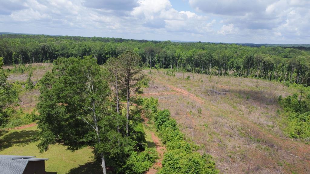 2115 Alabama Road Waverly Hall, GA 31831 - Photo 51 of 57 Gallery Image 51