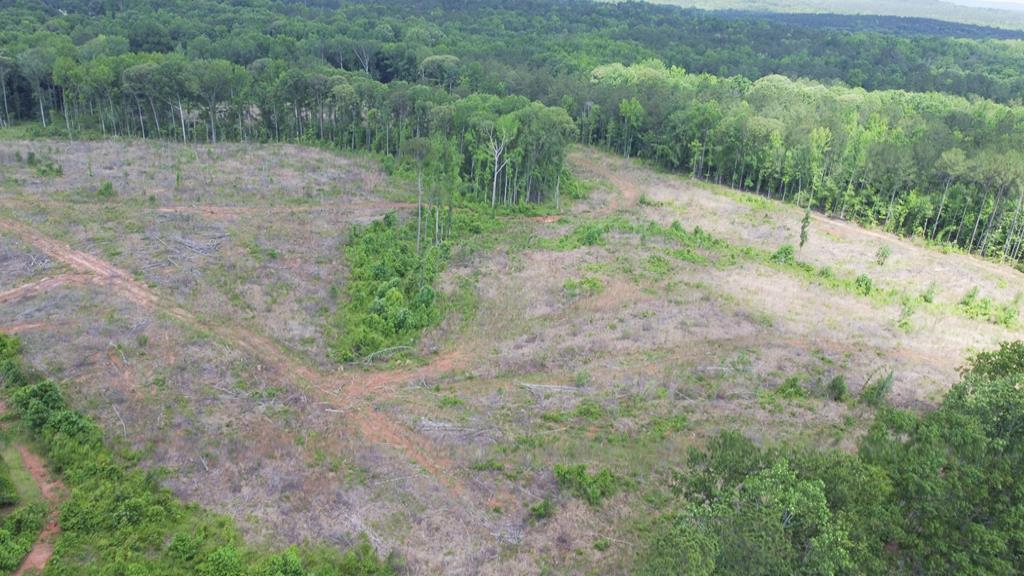 2115 Alabama Road Waverly Hall, GA 31831 - Photo 54 of 57 Gallery Image 54
