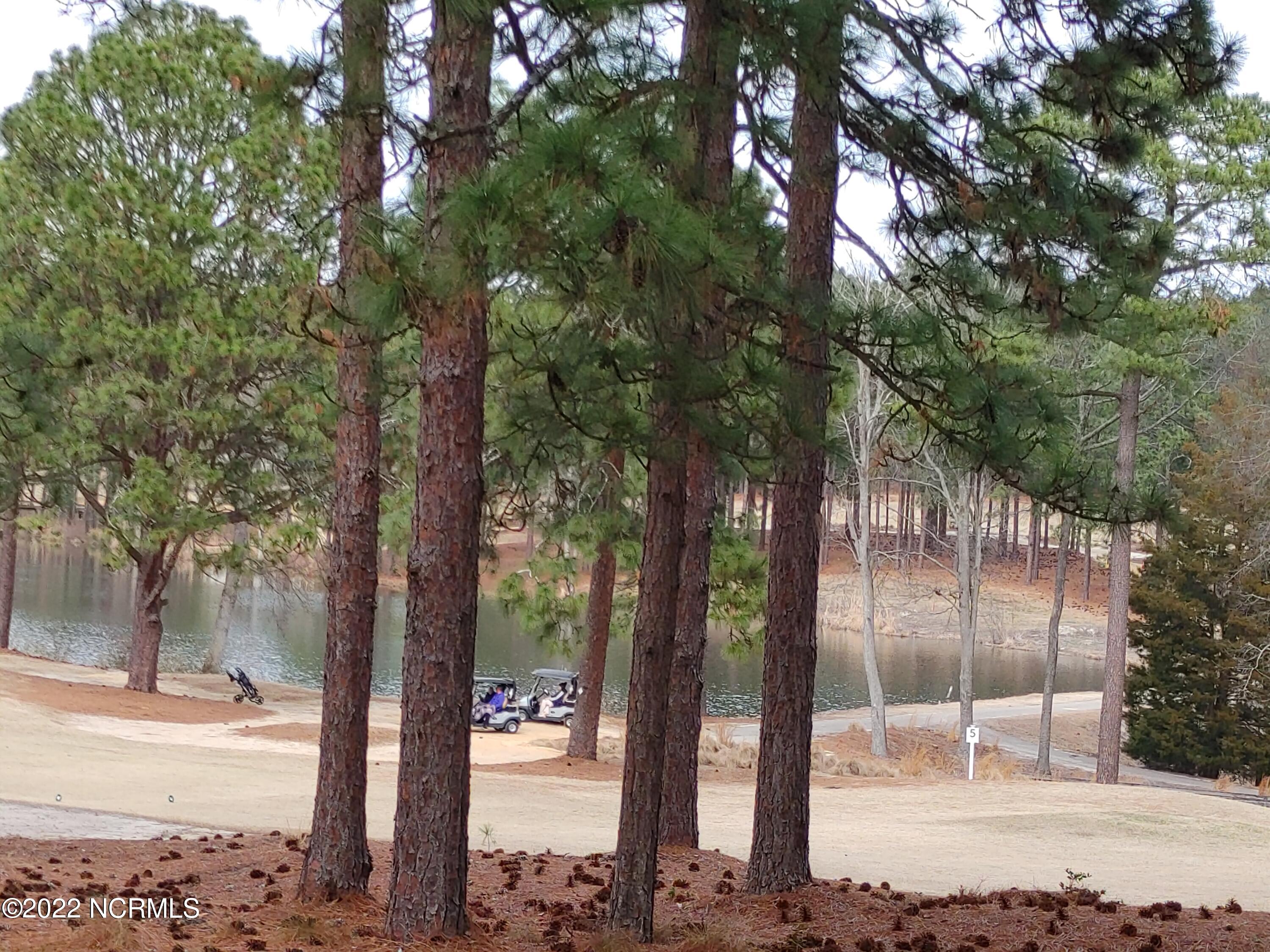 245 Knoll Road Southern Pines, NC 28387 - Photo 15 of 18 0226221421b_HDR