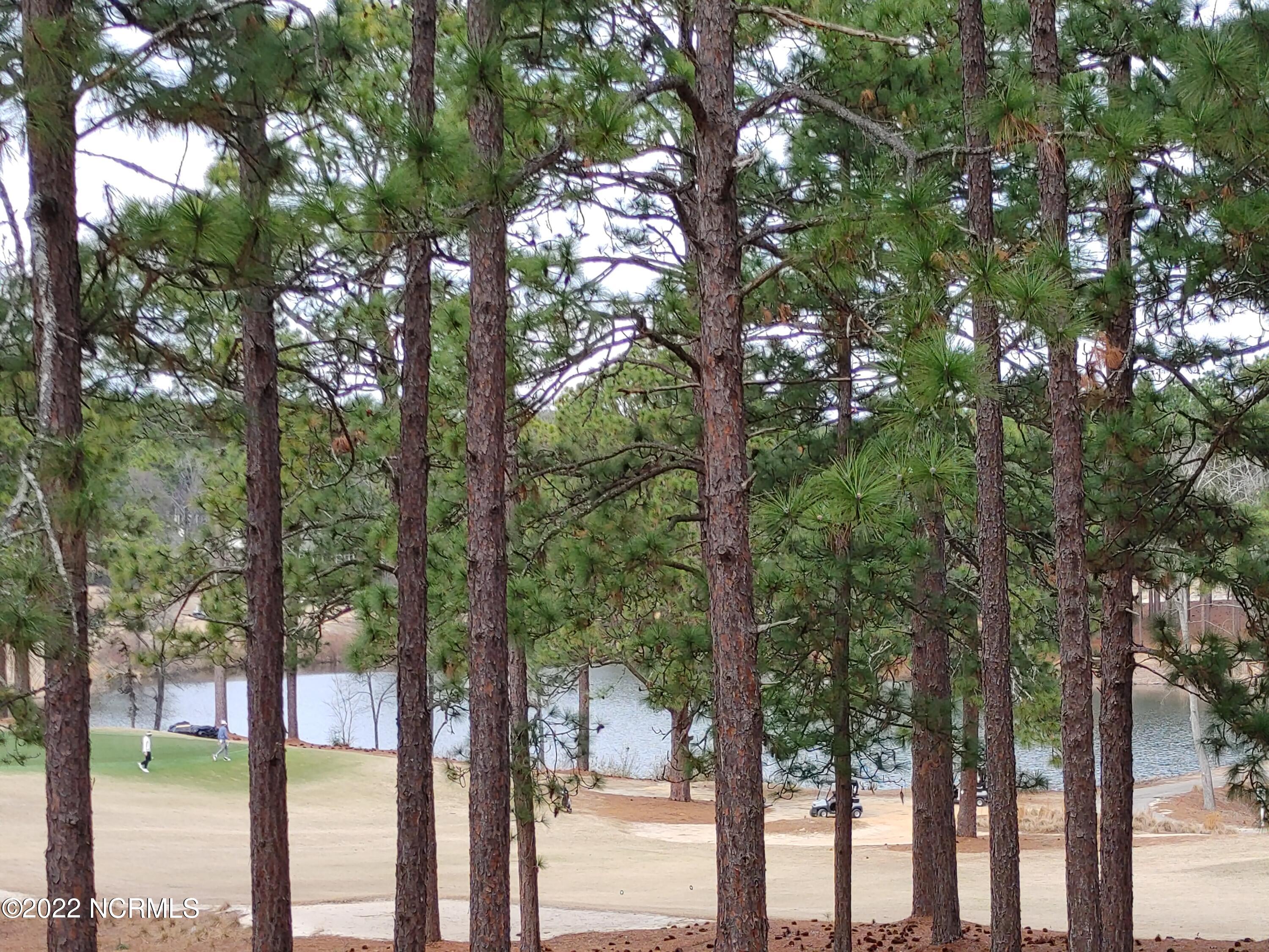 245 Knoll Road Southern Pines, NC 28387 - Photo 17 of 18 0226221423a_HDR