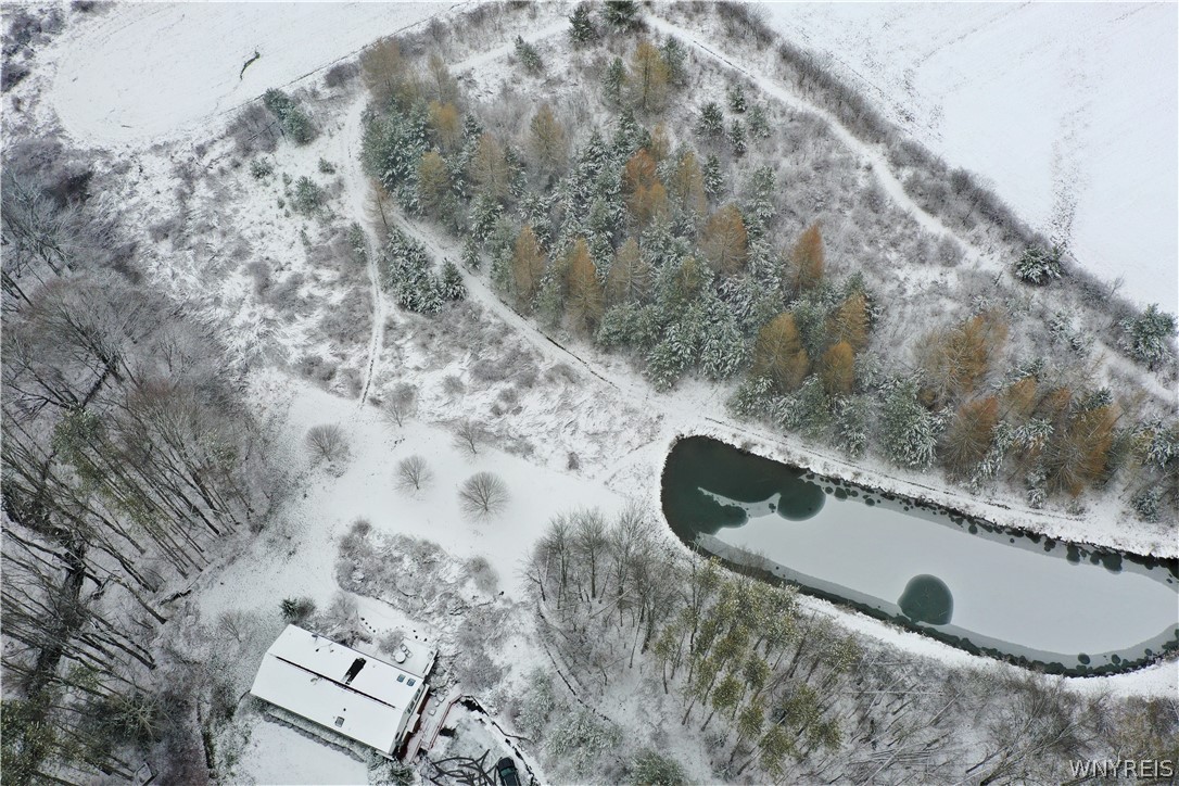 8492 Reed Hill Road East Otto, NY 14719 - Photo 37 of 47