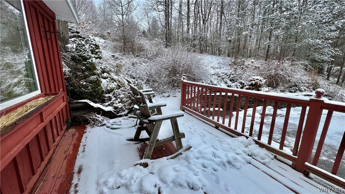 8492 Reed Hill Road East Otto, NY 14719 - Photo 41 of 47