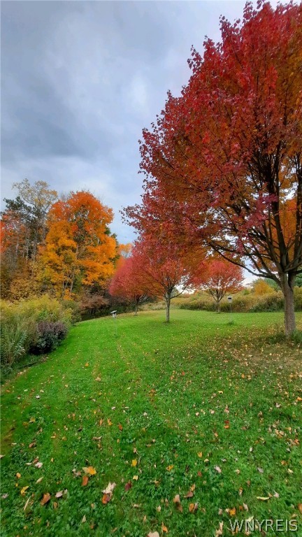 8492 Reed Hill Road East Otto, NY 14719 - Photo 44 of 47