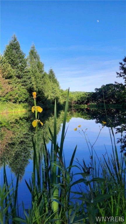 8492 Reed Hill Road East Otto, NY 14719 - Photo 45 of 47