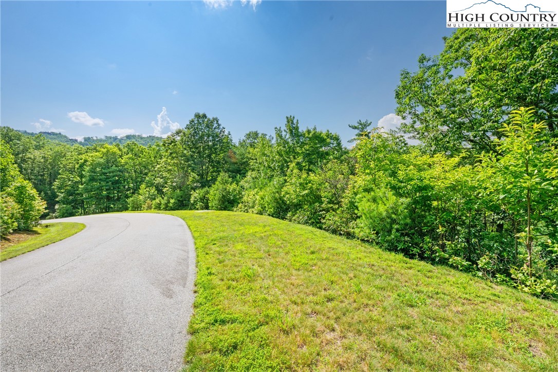 Lot 330 Pepperroot Road Boone, NC 28607 - Photo 6 of 16 a view of a yard with yellow plants