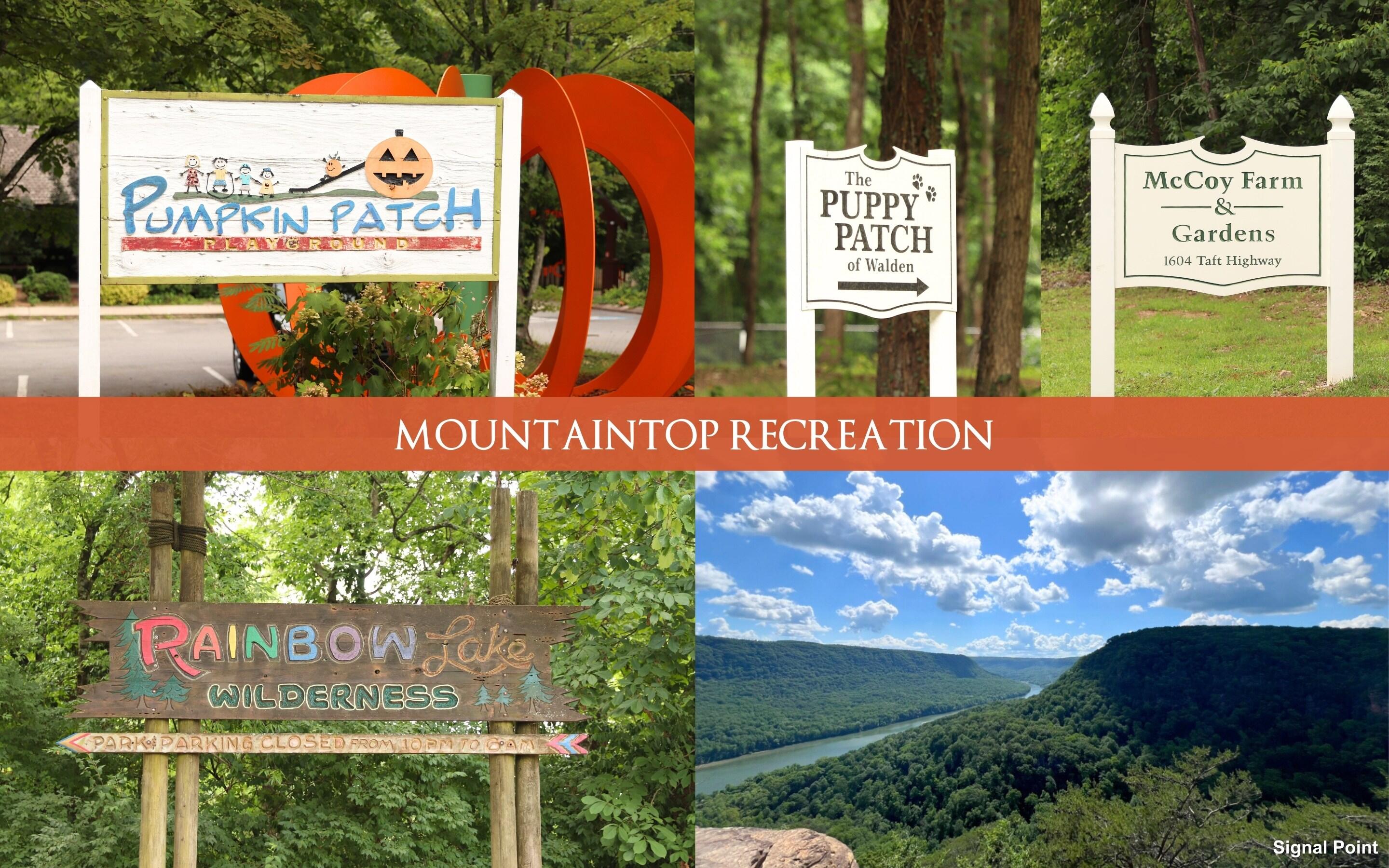 12 Mountain Orchard Path Signal Mountain, TN 37377 - Photo 64 of 70 Signal Mountian Recreation