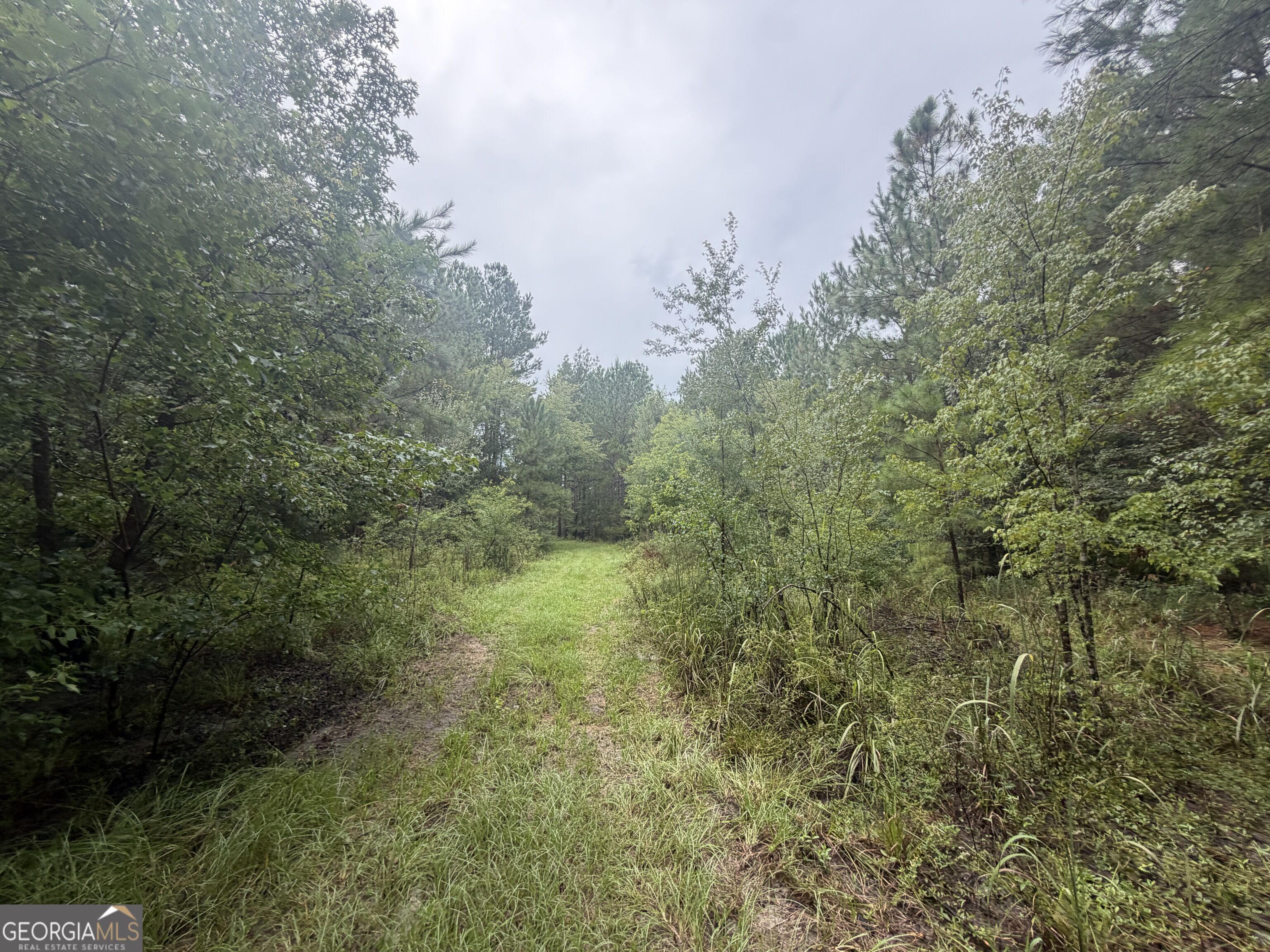 0 Jamestown Road Waycross, GA 31503 - Photo 21 of 92 Gallery Image 21