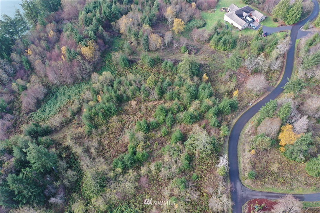 7-lot Maple Ridge Road Cathlamet, WA 98612 - Photo 6 of 10 Gallery Image 6