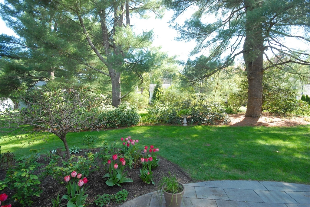 15 Edmonds Road, Unit 15 Concord, MA 01742 - Photo 33 of 34 a view of a garden with plants