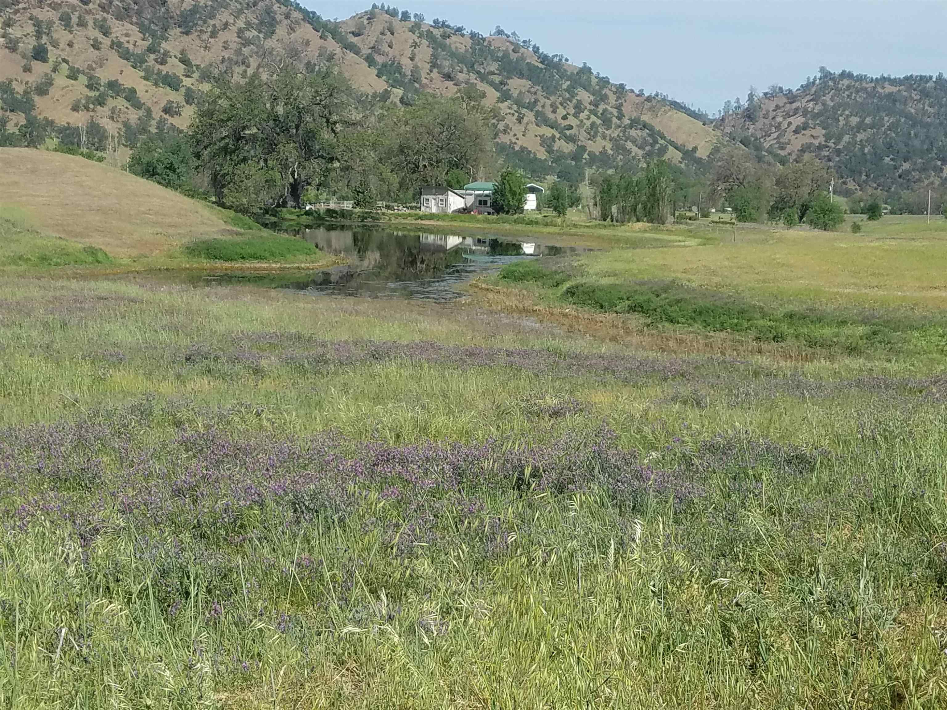 0 High Flat Road Red Bluff, CA 96080 - Photo 10 of 15