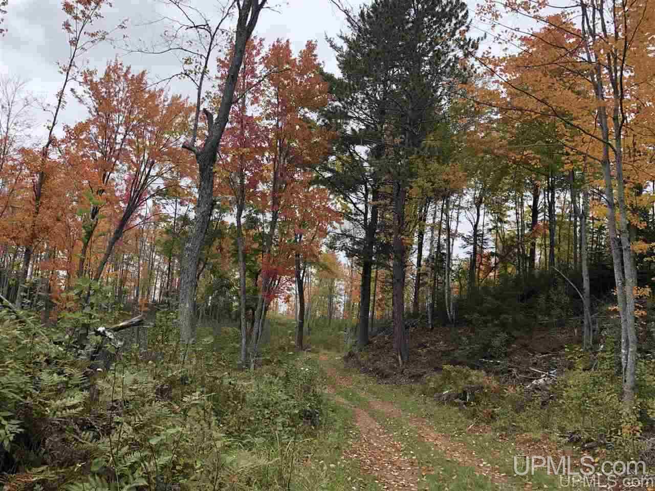 Tbd Off Woods Road Negaunee, MI 49849 - Photo 10 of 15