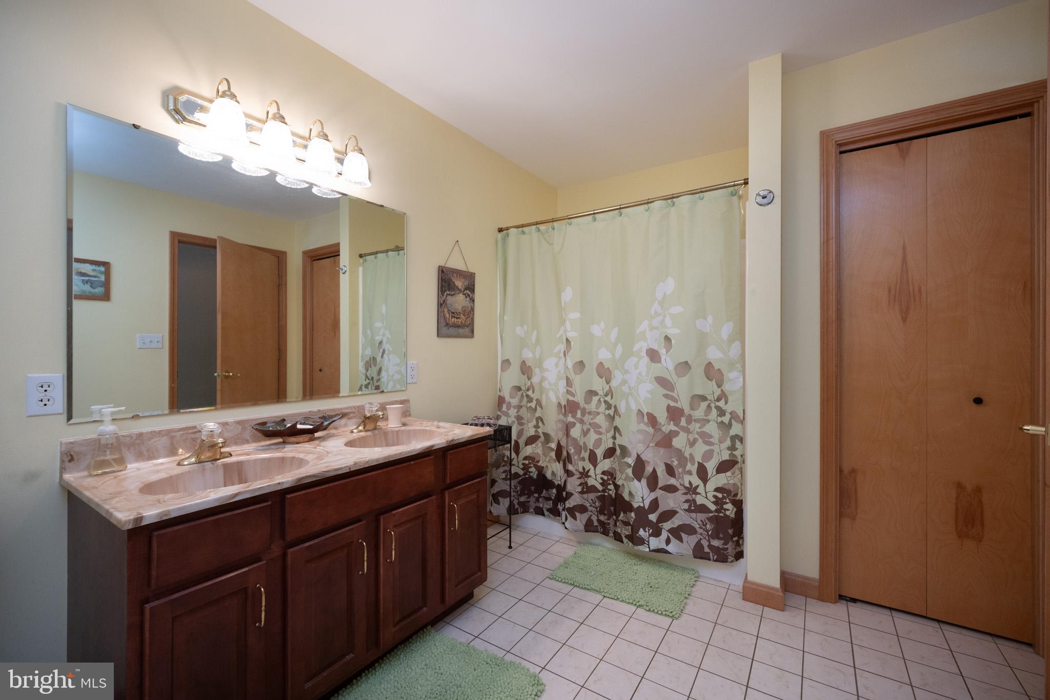 3836 Chestnut Grove Road Swanton, MD 21561 - Photo 51 of 111 a bathroom with a double vanity sink mirror and shower