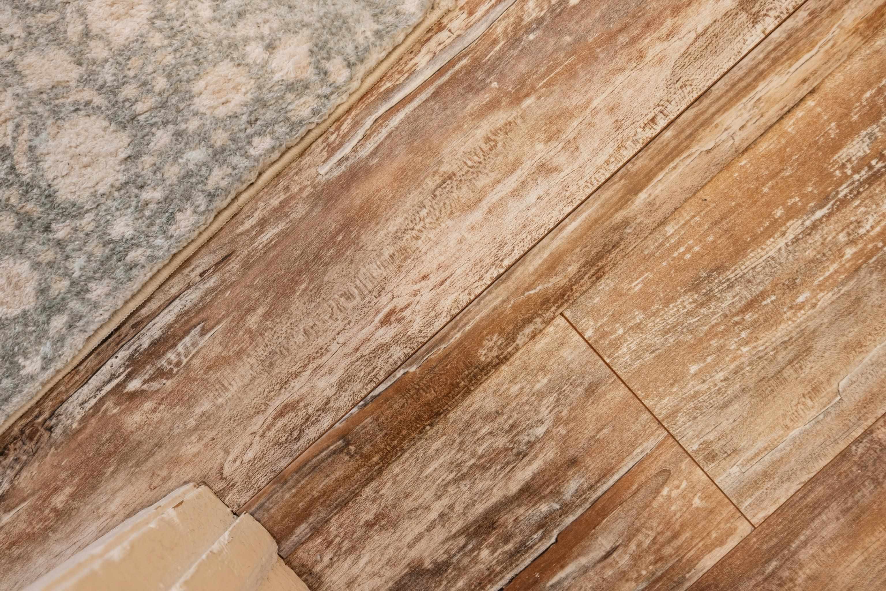 2502 Ridgedale Road Harrisonburg, VA 22801 - Photo 36 of 64