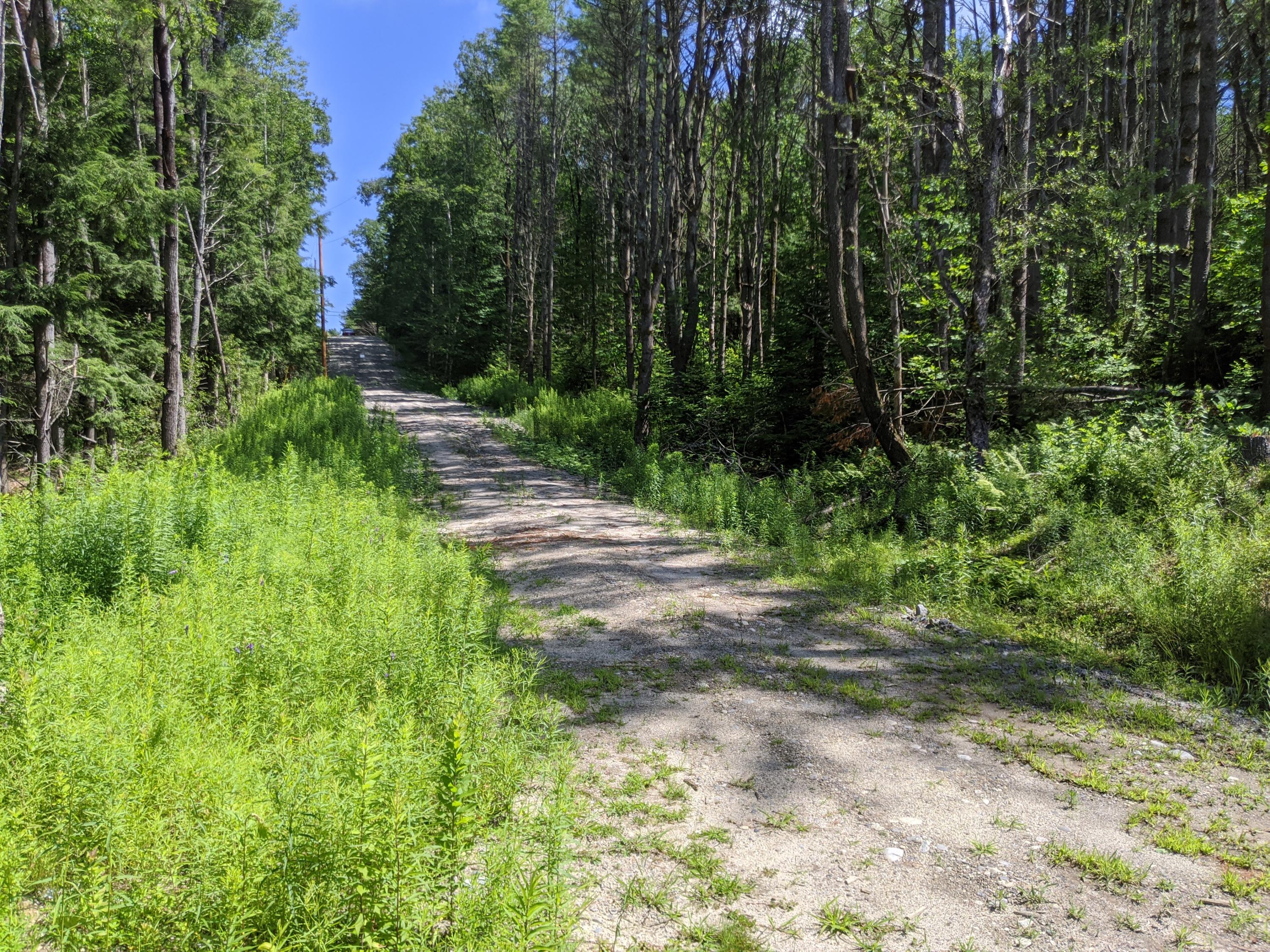 37 Pleasant Hill Road Freeport, ME 04032 - Photo 5 of 5 2020-07-16 14.26.34