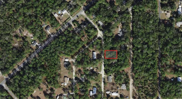 a view of a yard with trees