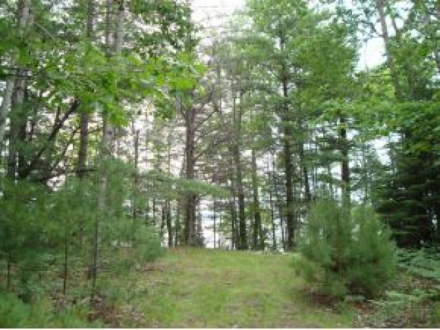 Lot 1 Camp Nokomis Road Mercer, WI 54547 - Photo 11 of 12 Gallery Image 11