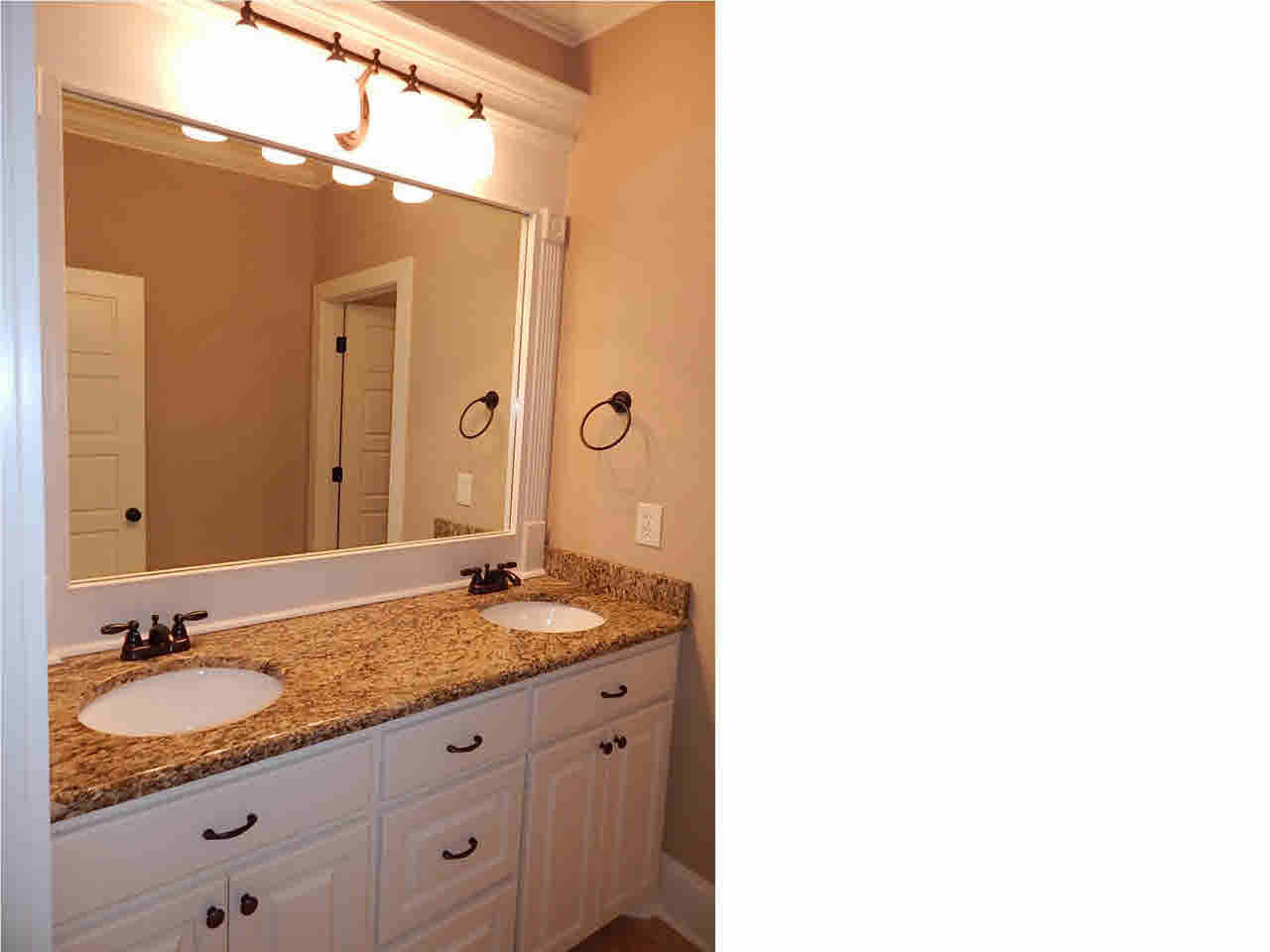 127 Busick Well Road Brandon, MS 39042 - Photo 24 of 34 Double vanity in guest bath number 1