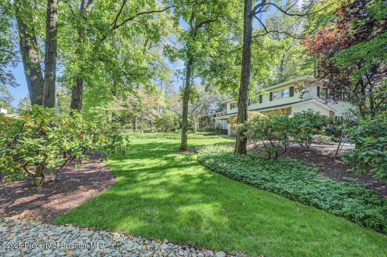 517 Grandview Street Clarks Summit, PA 18411 - Photo 3 of 86 a view of backyard with green space