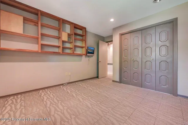 a view of a forest that has large trees