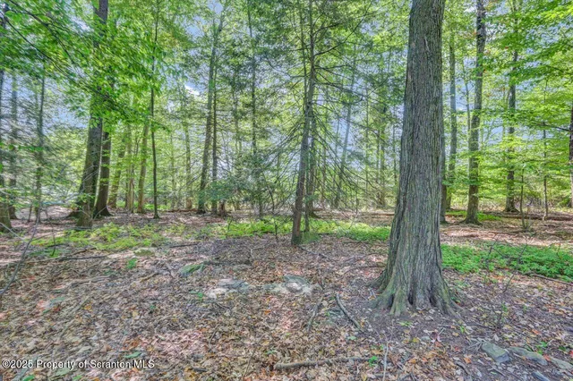 $605,000 | 517 Grandview Street, Clarks Summit, PA 18411