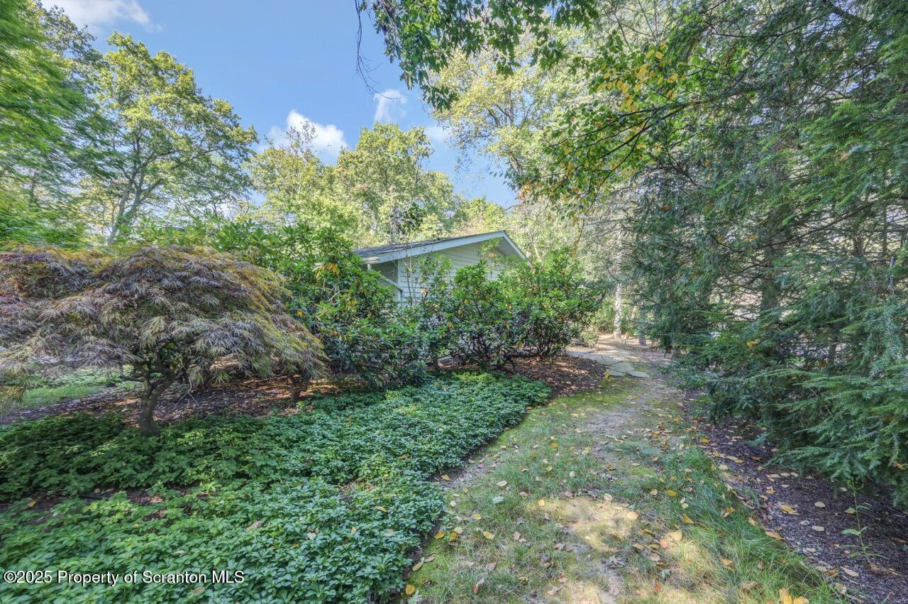517 Grandview Street Clarks Summit, PA 18411 - Photo 82 of 86 a view of a yard with plants and a large tree