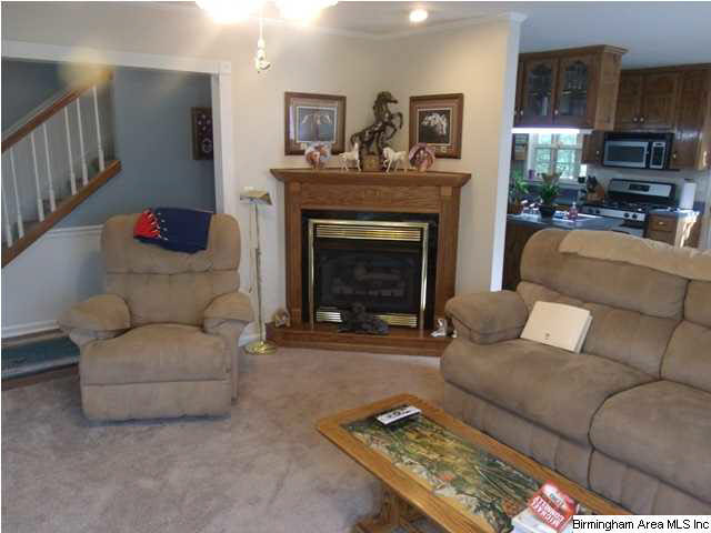 46615 Highway 231 South Oneonta, AL 35121 - Photo 26 of 28