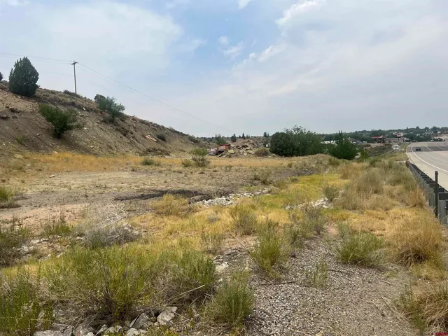 a view of a dry yard with trees