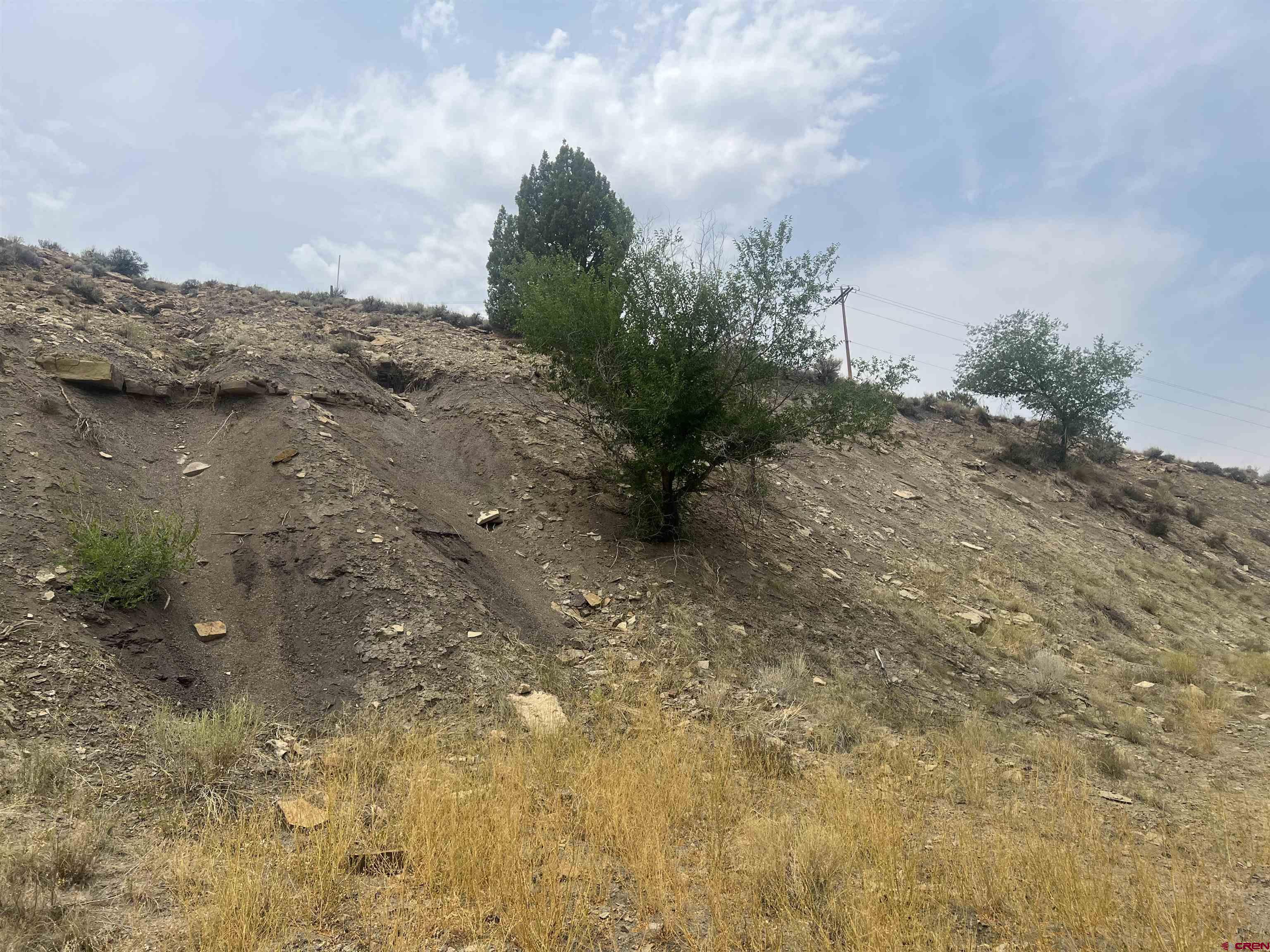 491 North Highway 491 Cortez, CO 81321 - Photo 3 of 6 a view of a dry yard with trees