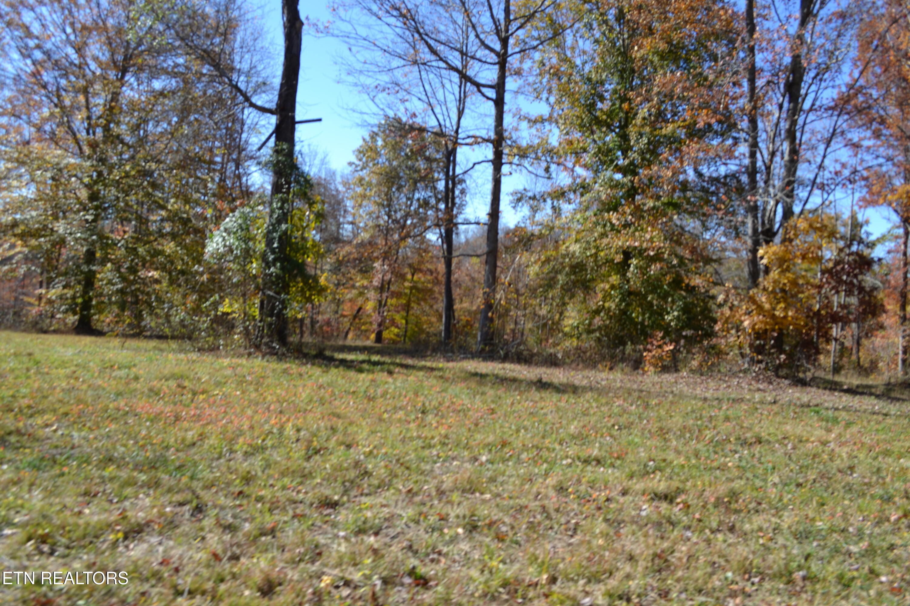 28.30-ac Whitson Hollow Road Red Boiling Springs, TN 37150 - Photo 20 of 50 DSC_0119