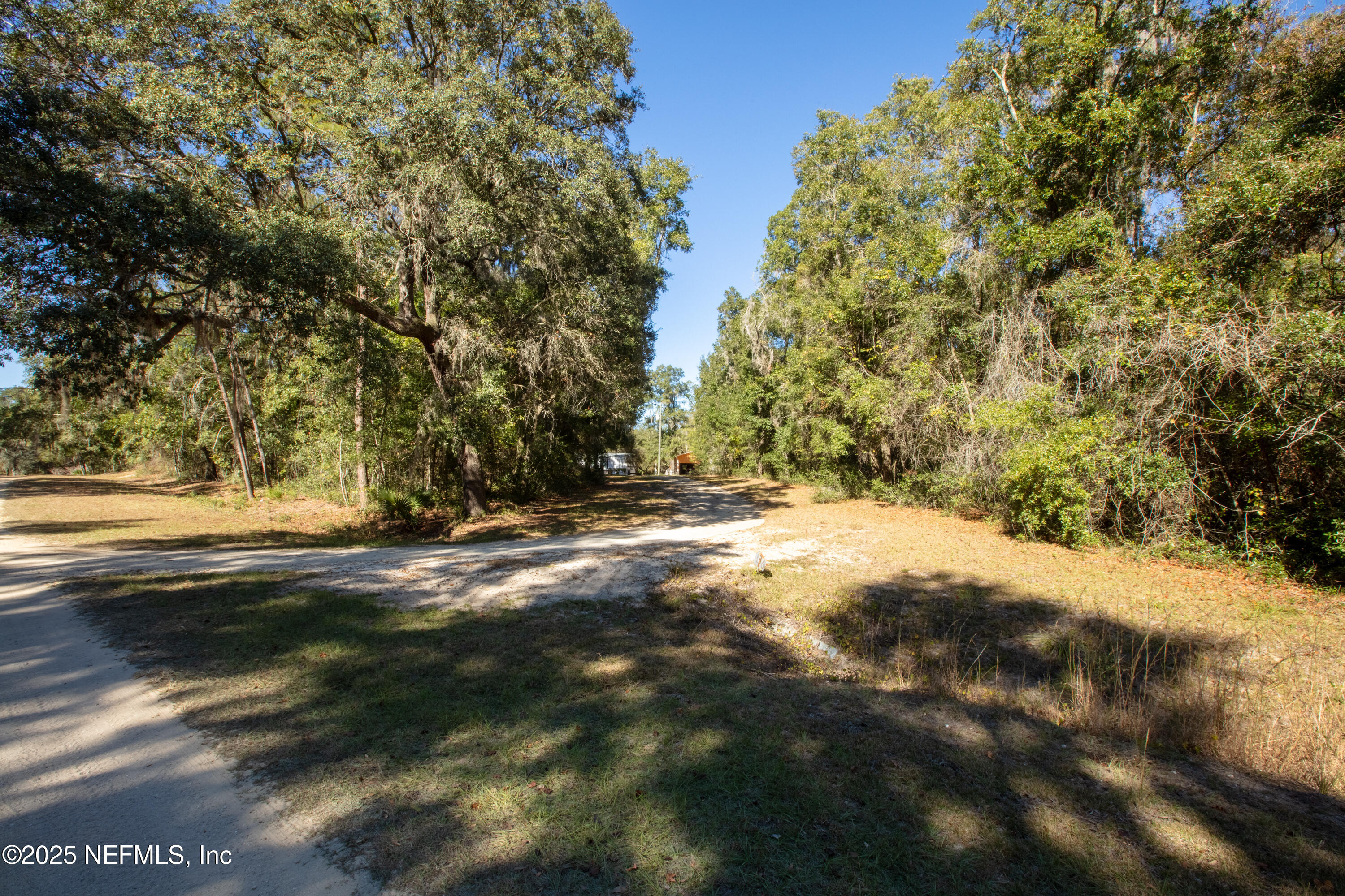 136 Boots Road Melrose, FL 32666 - Photo 35 of 40 a view of yard covered with trees