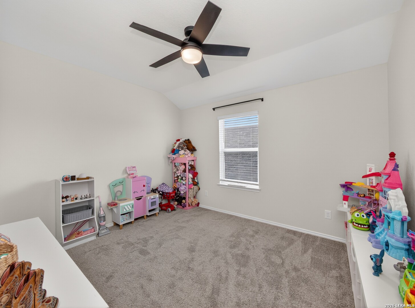 4035 Wild Bloom Road Seguin, TX 78155 - Photo 28 of 40